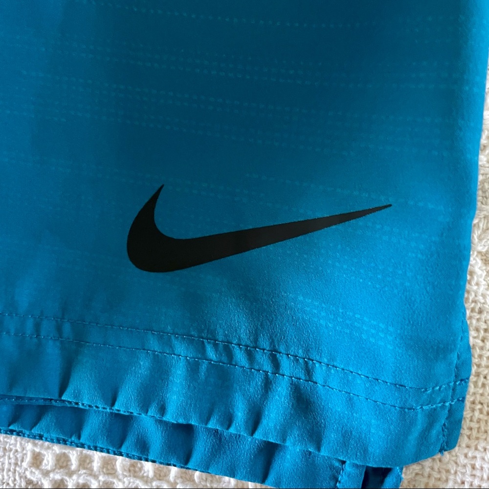 Nike Dri-Fit Shorts EUC